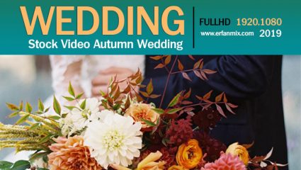 مجموعه استوک فیلم خام عروسی Stock Video Autumn