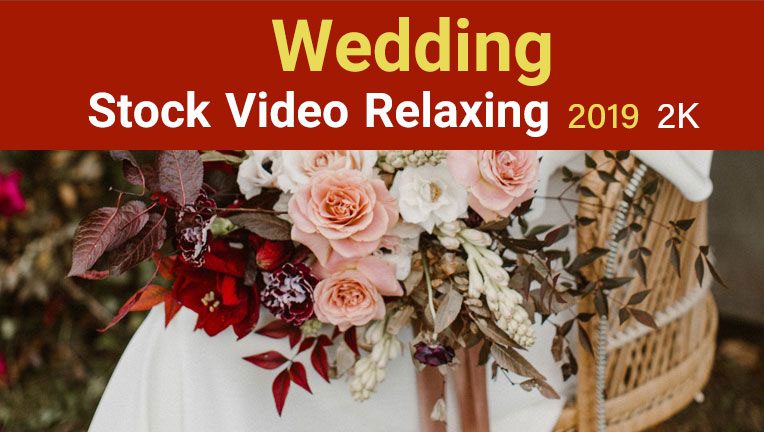 استوک عروسی Stock Video Relaxing Wedding